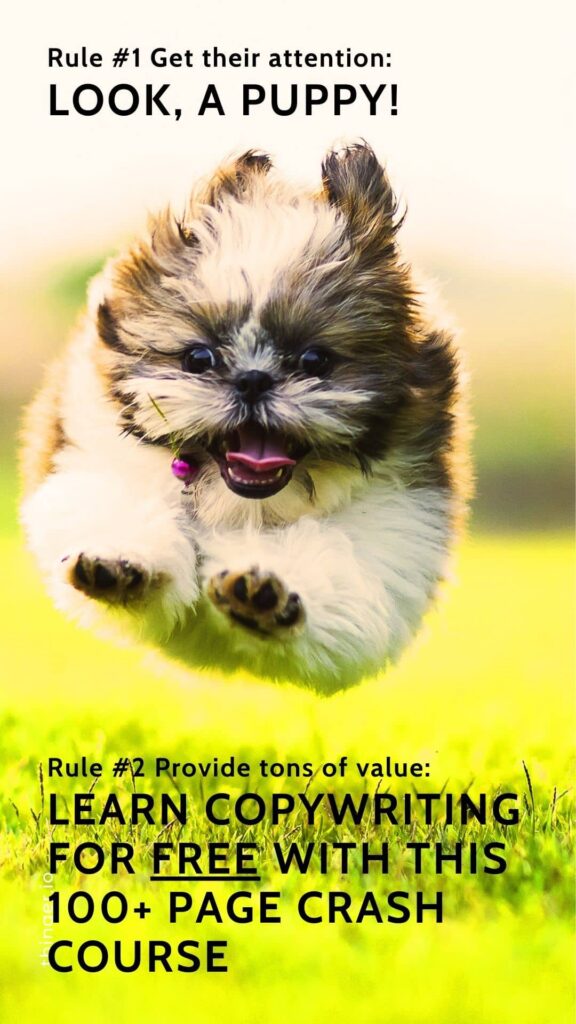 Distract them with a puppy. Rules of copywriting in marketing. 